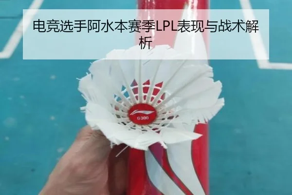 电竞选手阿水本赛季LPL表现与战术解析